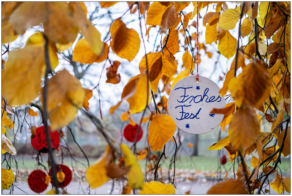 571 Schrevenpark – Wunschbaum Frohes Fest