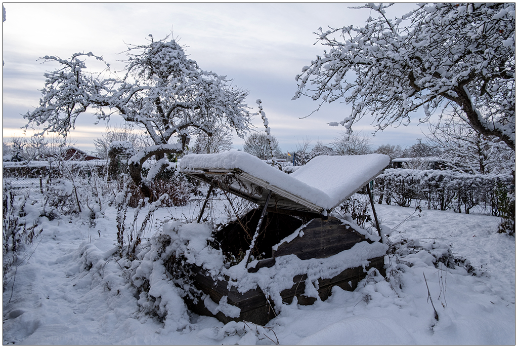 574 Bünte im Schnee am 4. Advent III