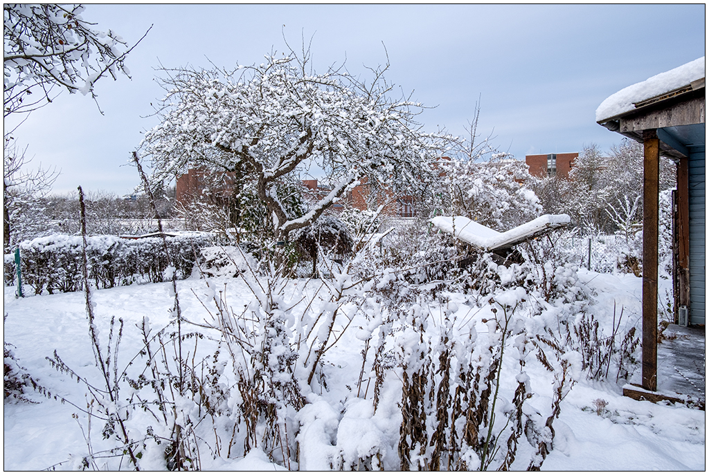 575 Bünte im Schnee am 4. Advent IV