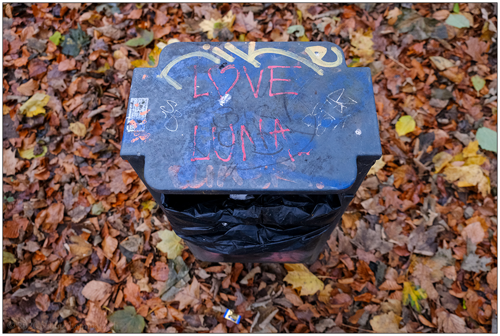 586 Love Luna