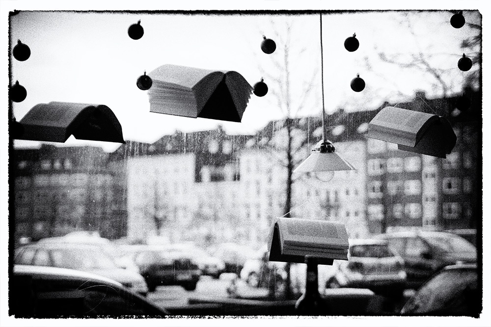 6/365 Zweitauswahl