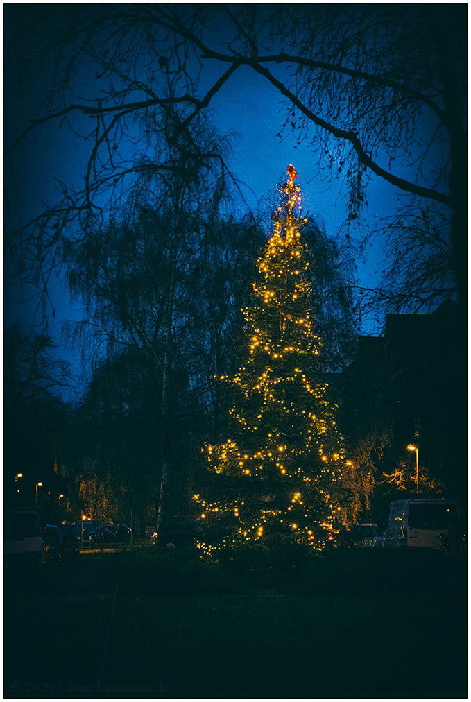 606 Weihnachtsbaum am Blücherplatz in Kiel