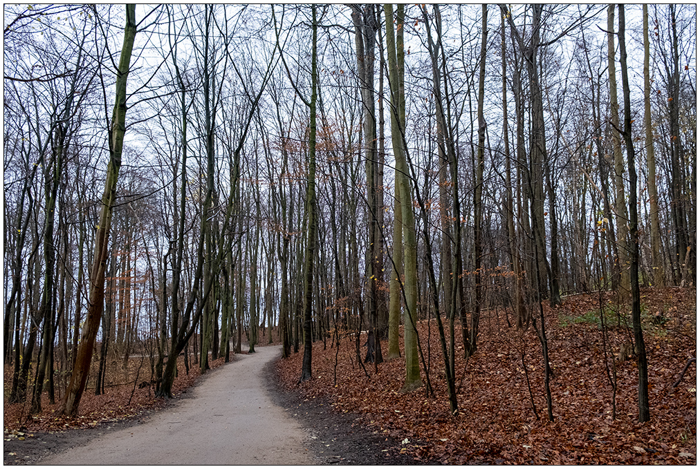 608 Wohin des Wegs?