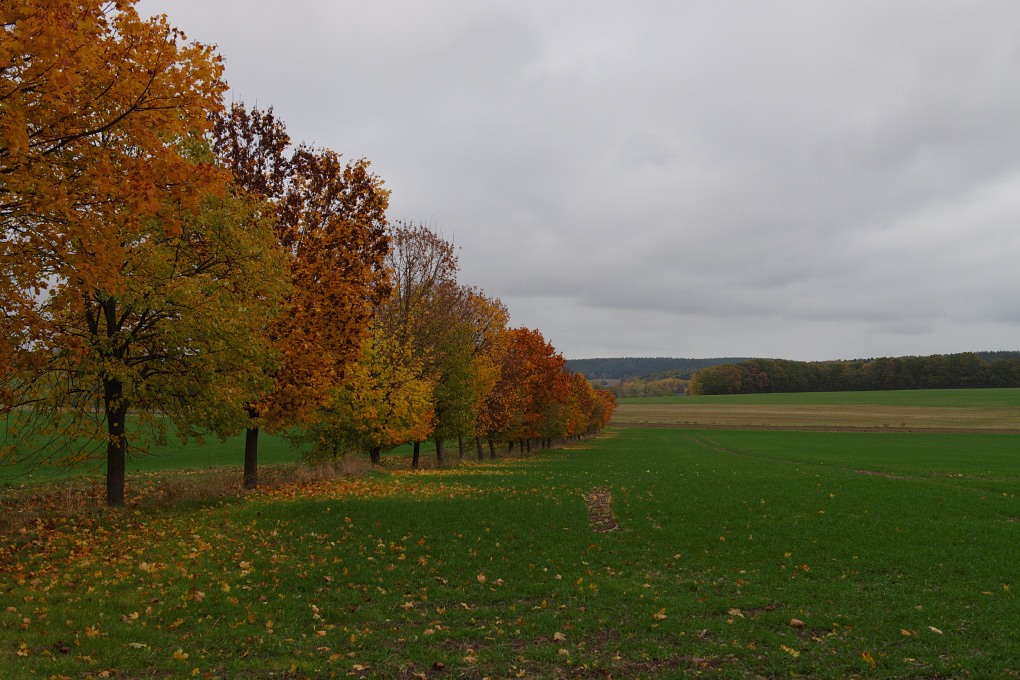 610 013964 Herbst 1020