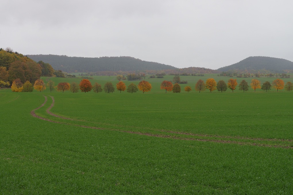 610 013967 Herbst 1020