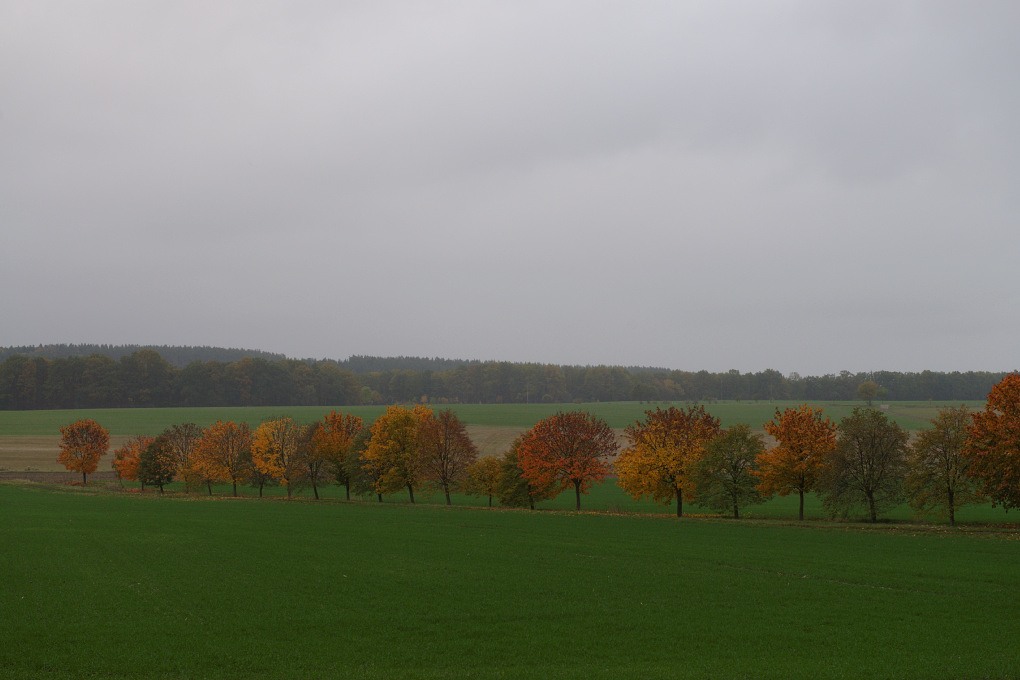 610 014000 Herbst 1020