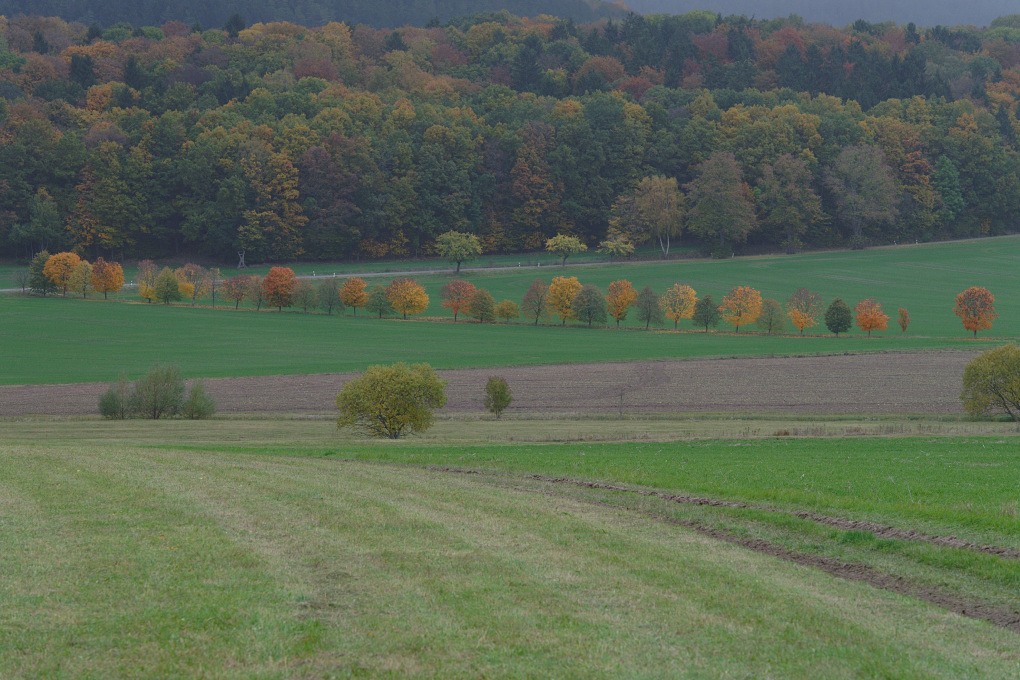 610 014010 Herbst 1020