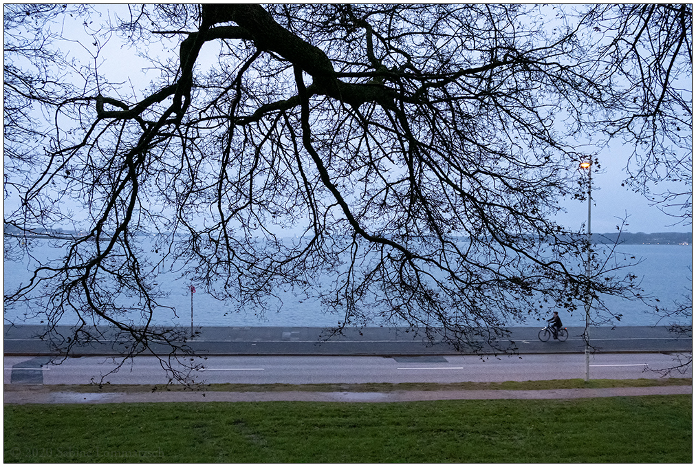 613 Spaziergang mit Ausblick auf die Kieler Förde II