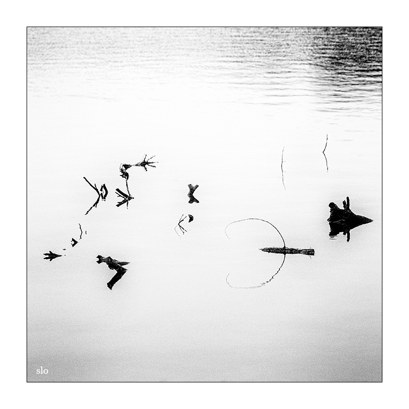 69/365