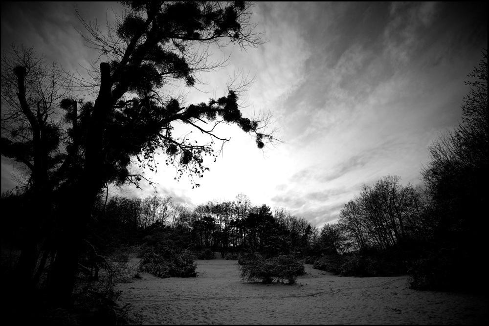 (6NFF)D3S 0136
