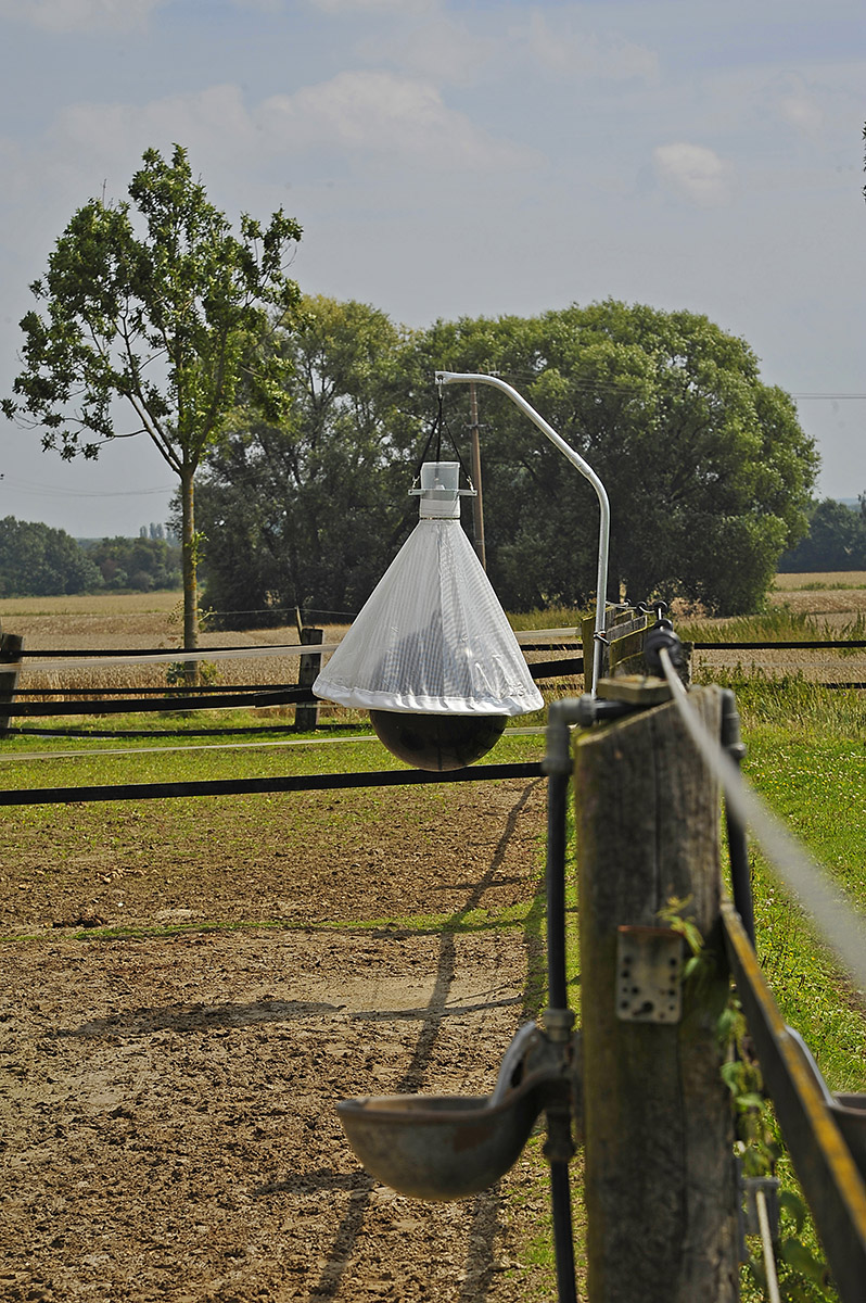7008248xl