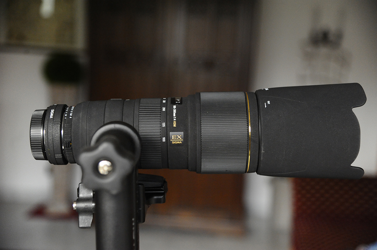 7009301xl
SIGMA 100-300mm F4 HSM EX DG mit Sigma TK APO EX 1.4x