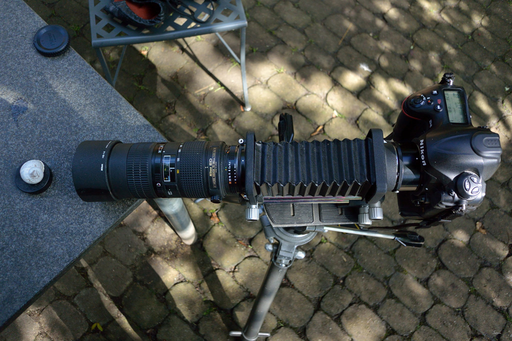 70180DSC 5176