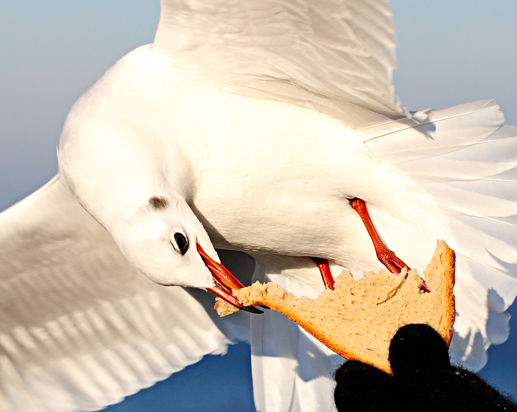 7082