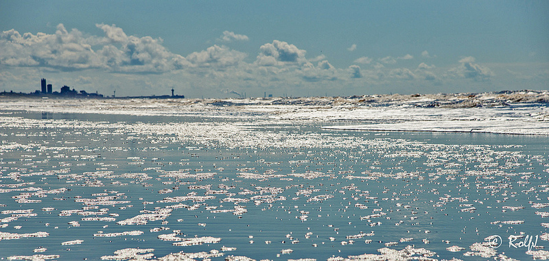 7203999774 809c90a918 c