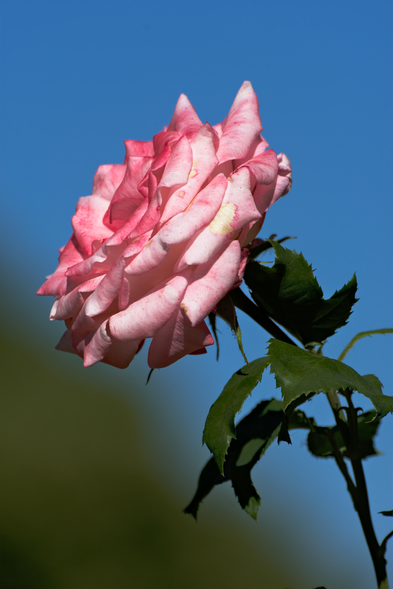 72D_7660.jpg