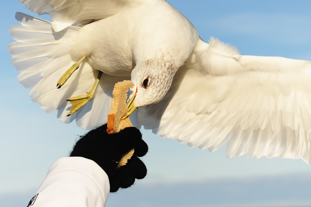 7392