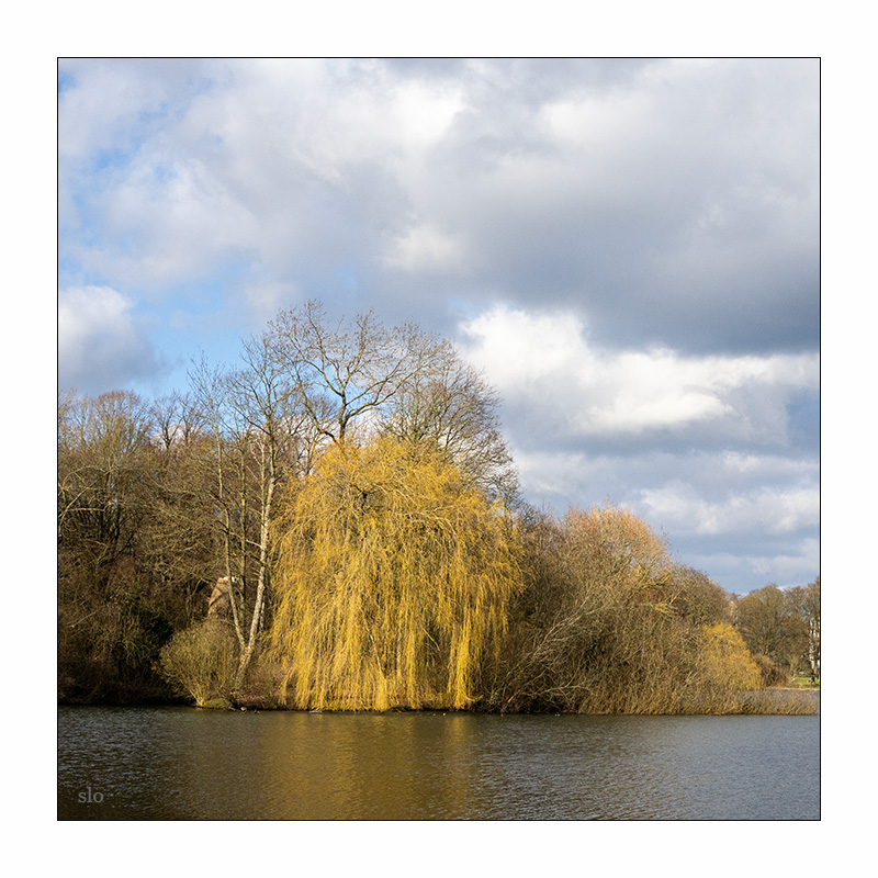 74/365 Elton John feat. Rina Sawayama – Chosen Family © 2026 Sabine Lommatzsch
