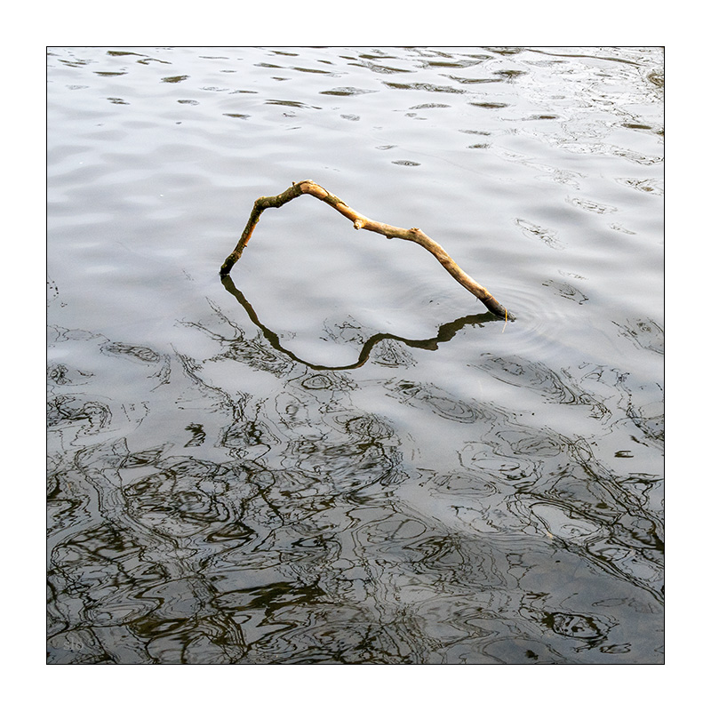 76/365 Pixies – Where Is My Mind? © 2026 Sabine Lommatzsch