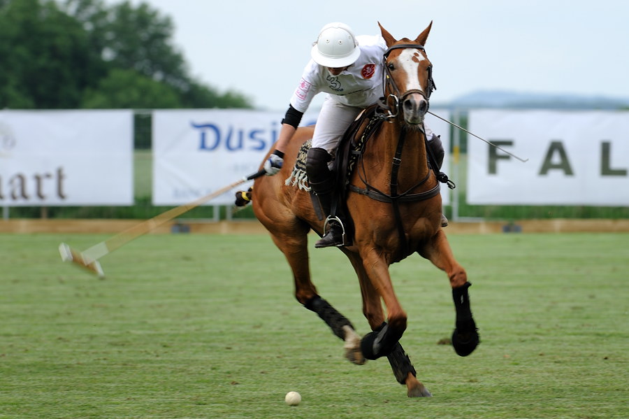 8 20100619 174354 polo wallerstein