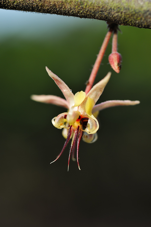 80 web