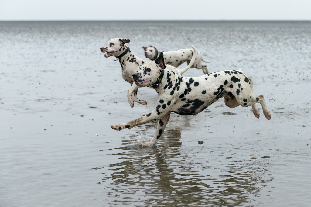 800 8901