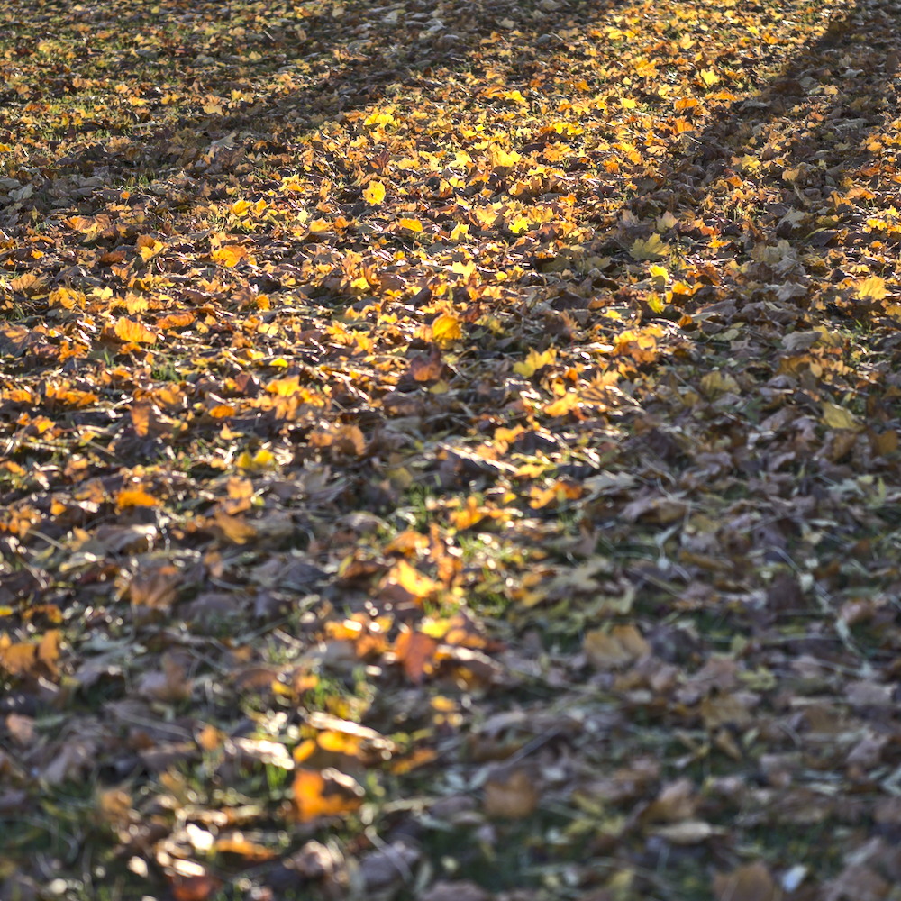 810_1661.jpg