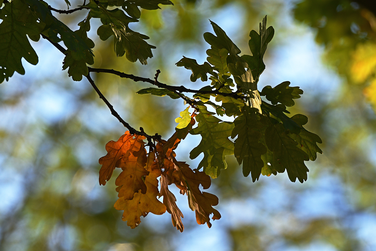 811_4756at10l10fks70p1.jpg