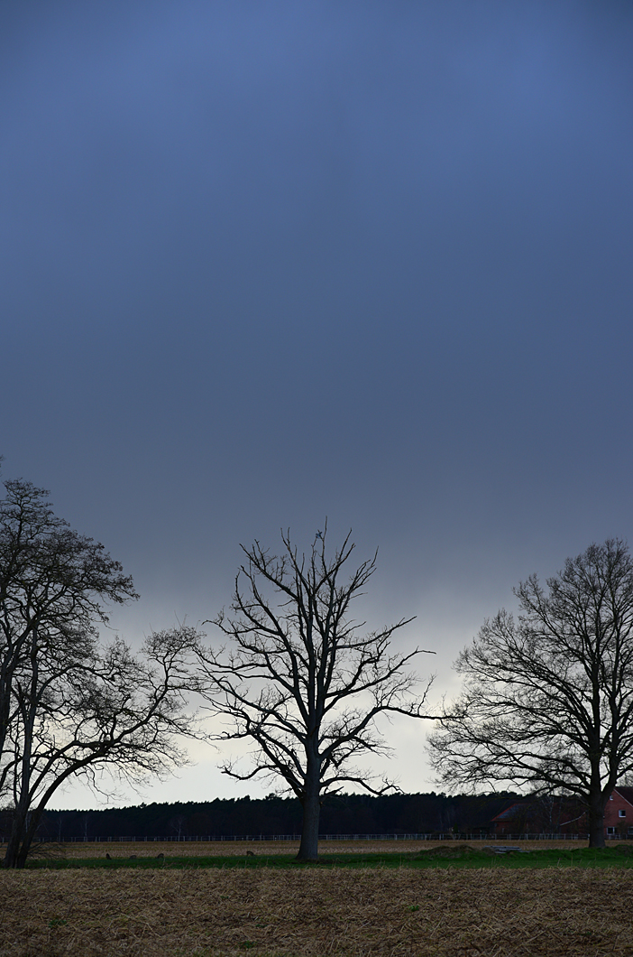 811_7118fks50p1.jpg
