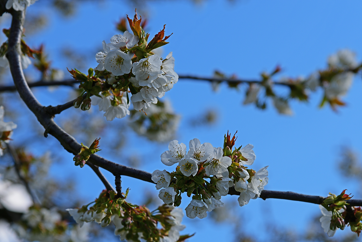 811_7196at25l10fks70p1.jpg