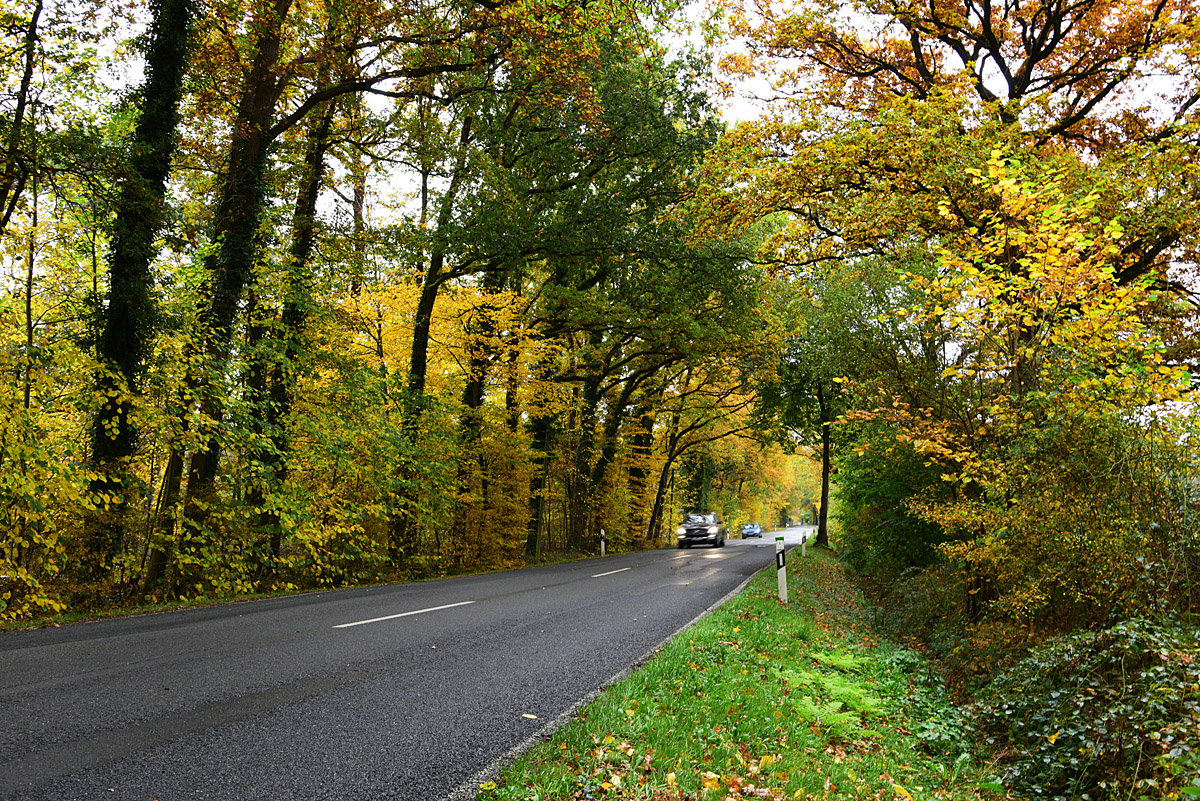 811_7979fks50p1.jpg