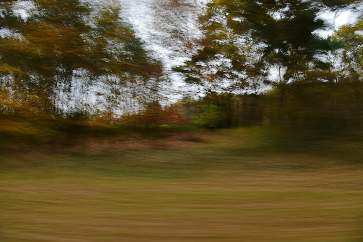 811_8097t0l10fk.jpg