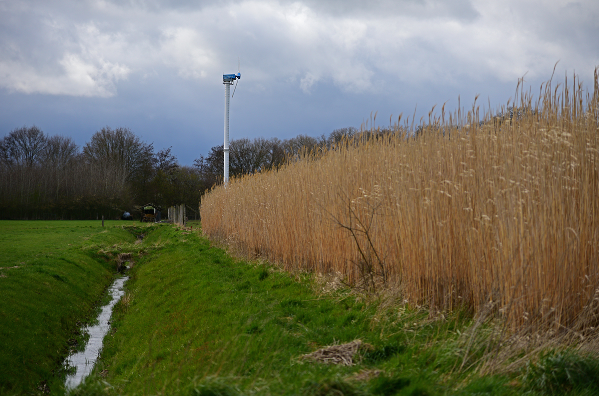 811_8159t5l15s70p1.jpg