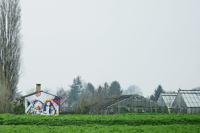 9800grafitti