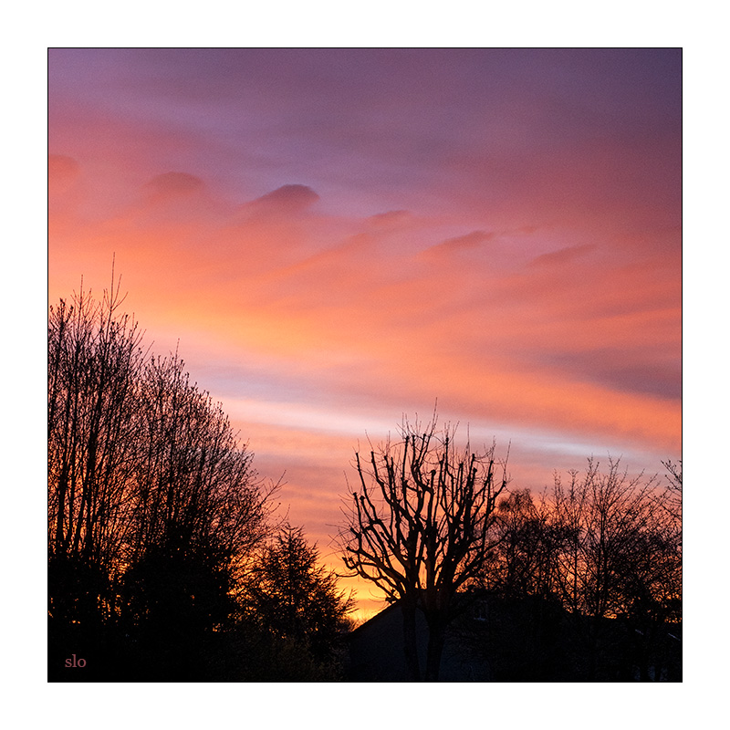 99/365 LP – Tokyo Sunrise © 2026 Sabine Lommatzsch
