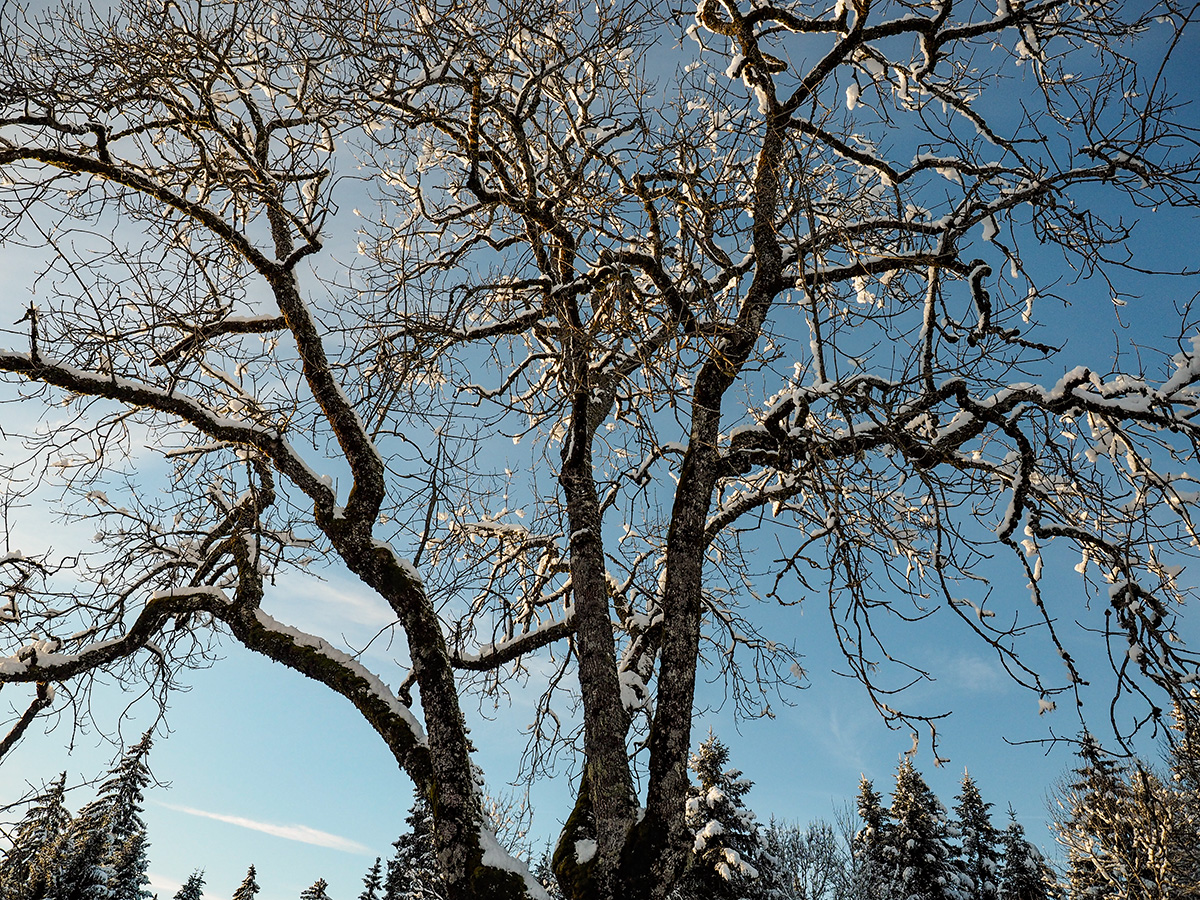 _1180087-Edit.jpg