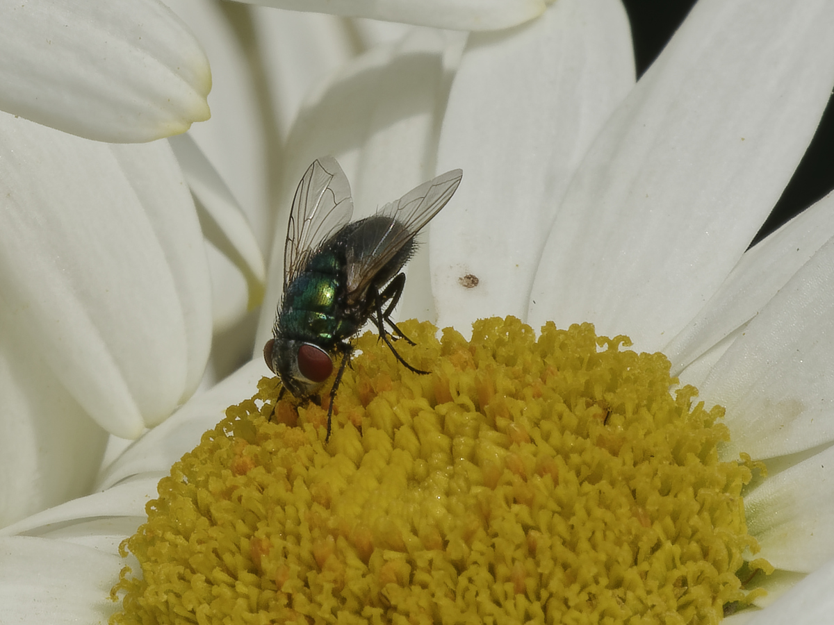 _1180519_DxOAAxl.jpg