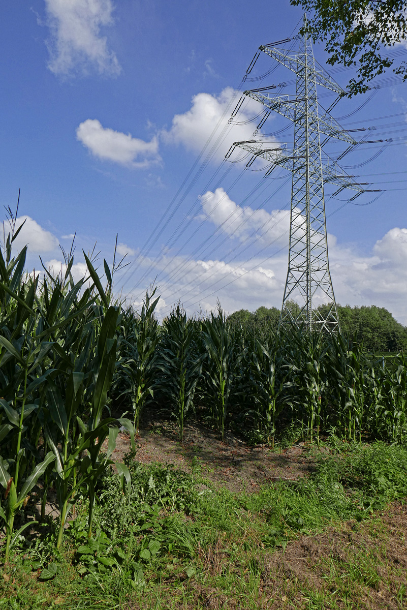 _1220512Kxl.jpg