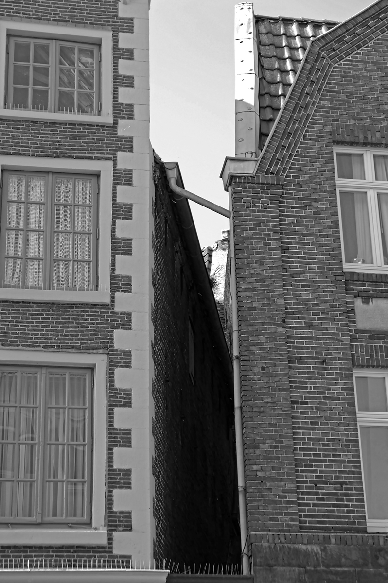 _1220625KSWxl.jpg