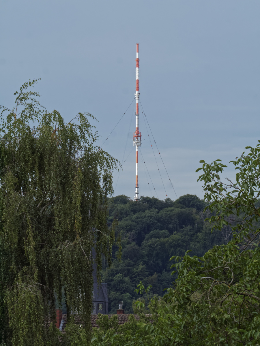 _1410513_DXOxl.jpg