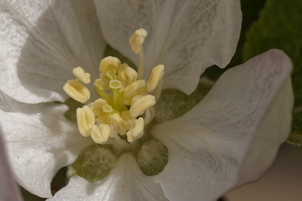 _4102025_DxOAAxl.jpg