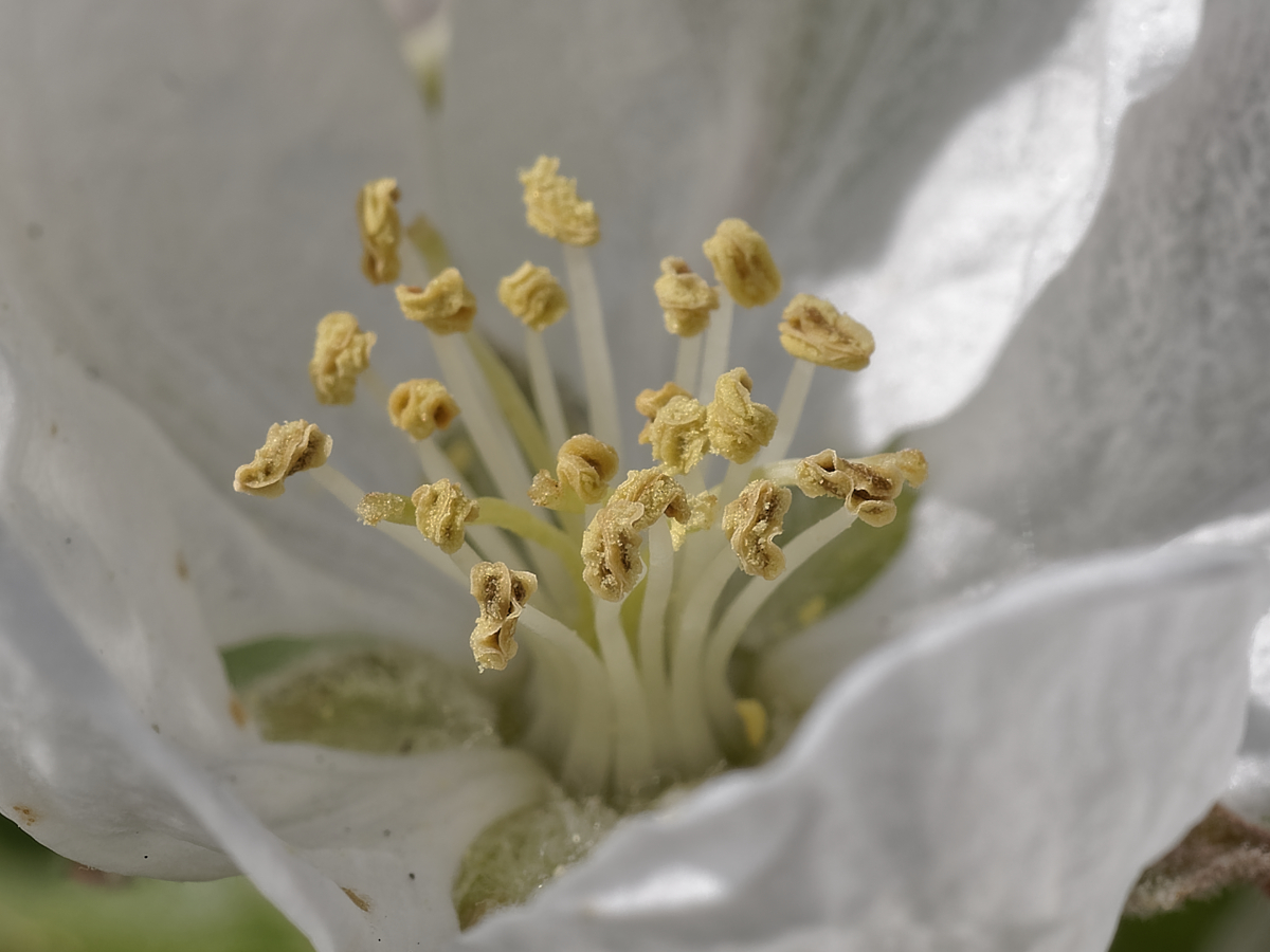 _4102036_DxOAAxl.jpg