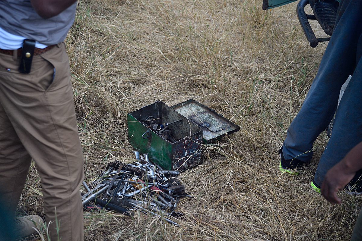_5RG0122_20180728_135258_4602Masai Mara 2018_7405Masai Mara 2018.jpg