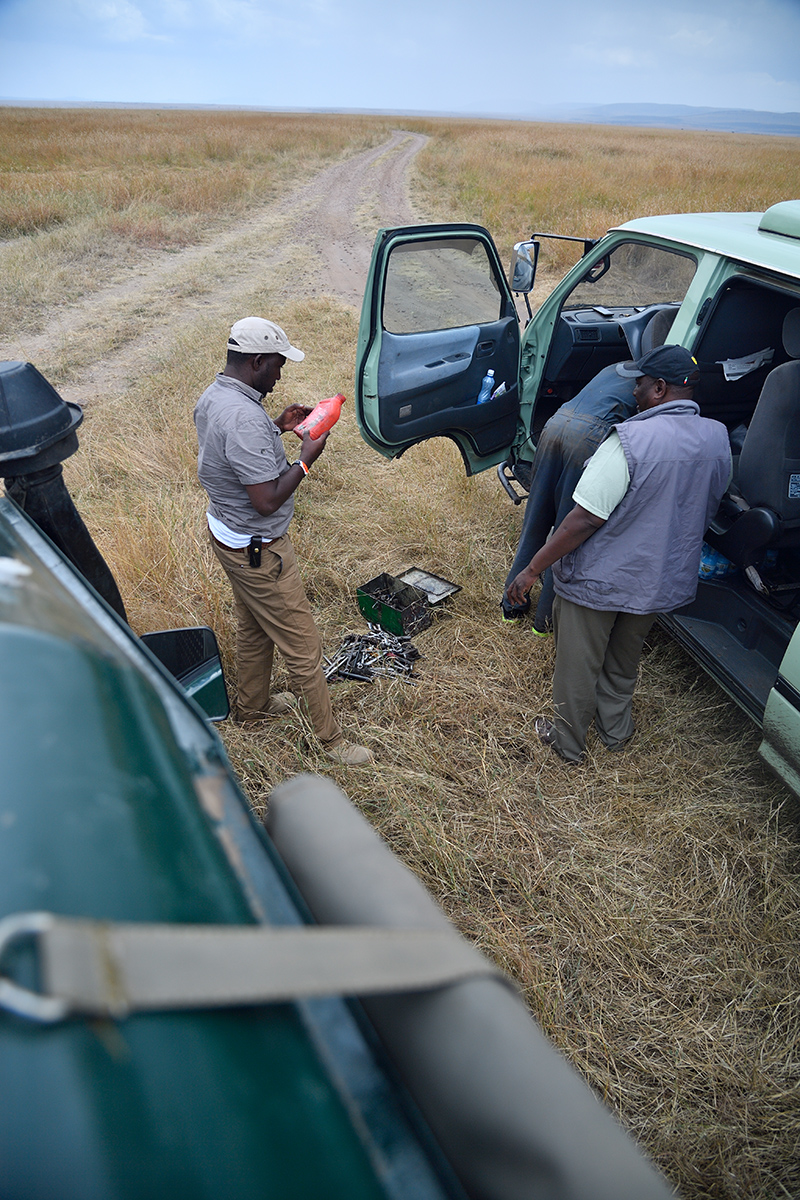 _5RG0126_20180728_135304_4603Masai Mara 2018_7406Masai Mara 2018.jpg
