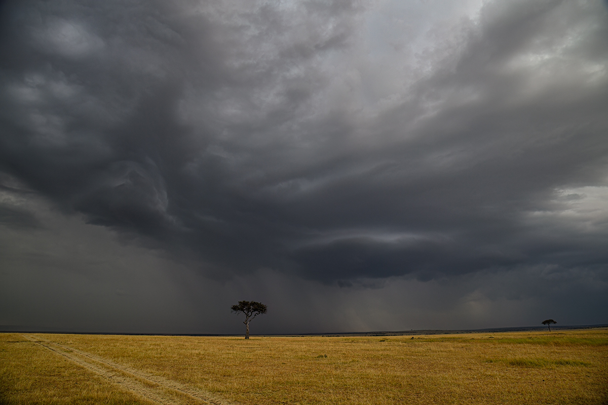 _5RG0276_20180728_170642_4464Masai Mara 2018_7172Masai Mara 2018.jpg