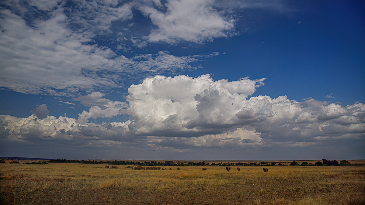 _5RG1490_20180729_160835_4950Masai Mara 2018_7475Masai Mara 2018.jpg