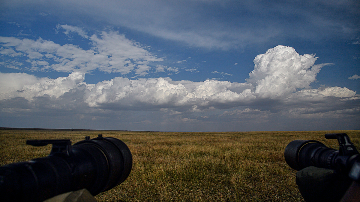 _5RG1504_20180729_163939_5003Masai Mara 2018_7784Masai Mara 2018.jpg