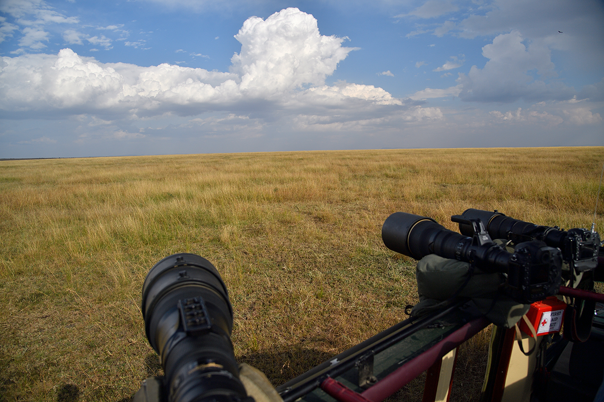 _5RG1507_20180729_164033_5006Masai Mara 2018_7787Masai Mara 2018.jpg