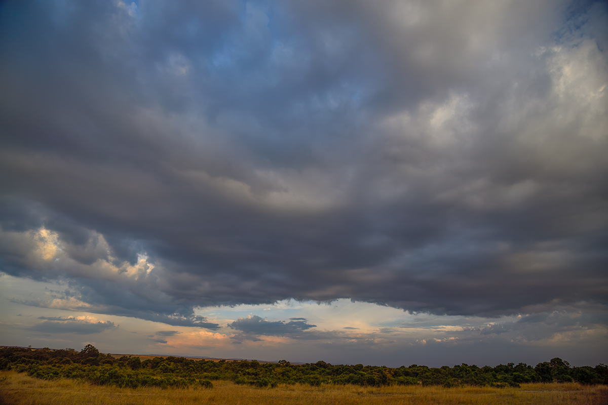_5RG3761_20180730_182318_5358Masai Mara 2018_6633Masai Mara 2018.jpg
