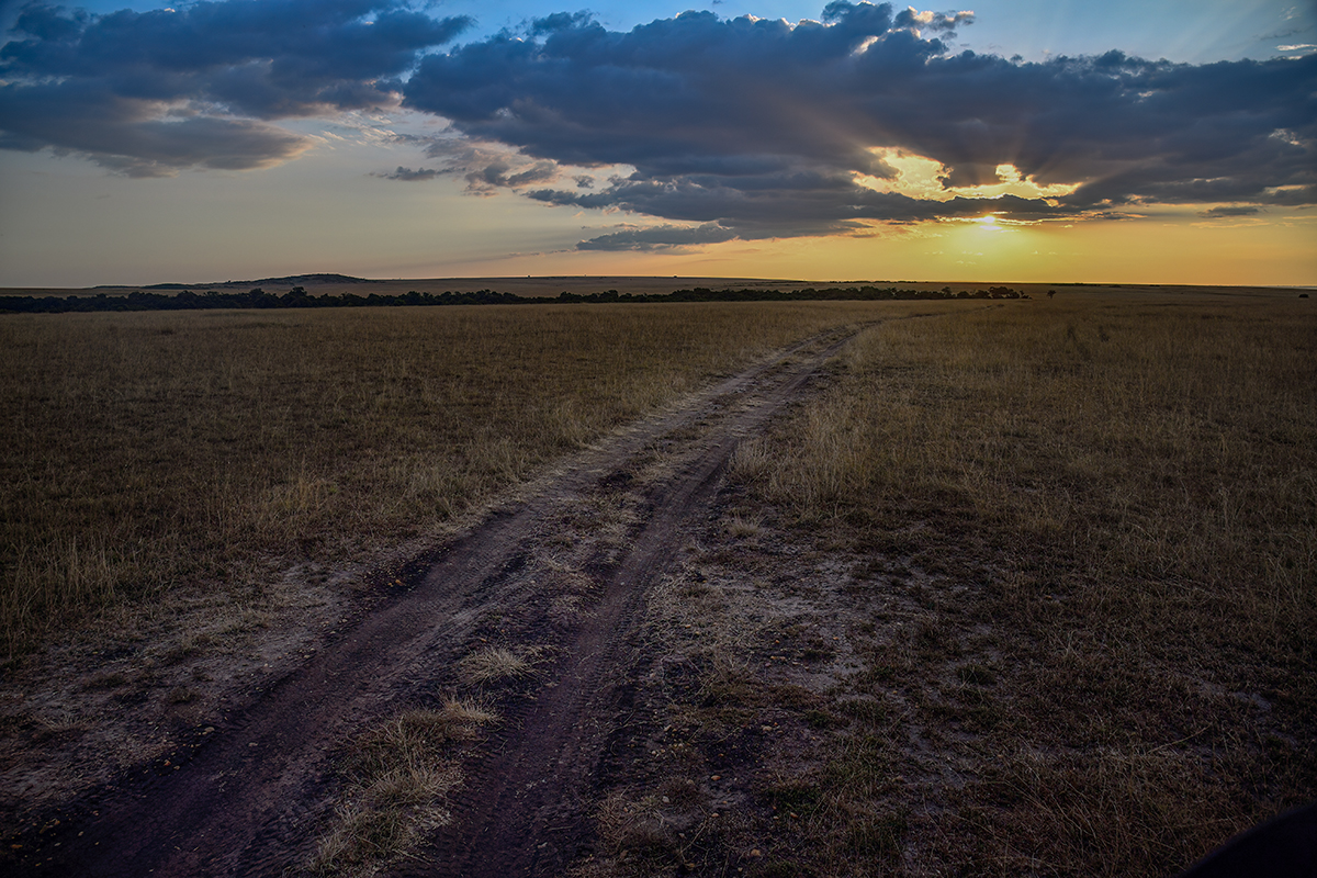 _5RG3776_20180730_182410_5360Masai Mara 2018_6635Masai Mara 2018.jpg